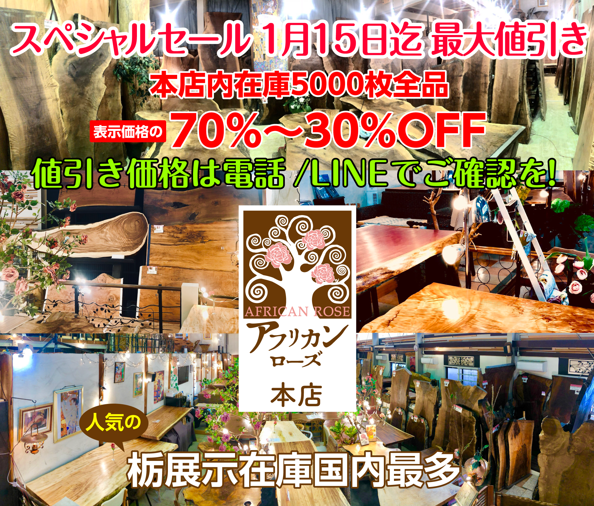 アフリカンローズ スペシャルセール1月15日迄 最大値引き 値引き価格はお電話か、LINEでお問い合わせ下さいませ