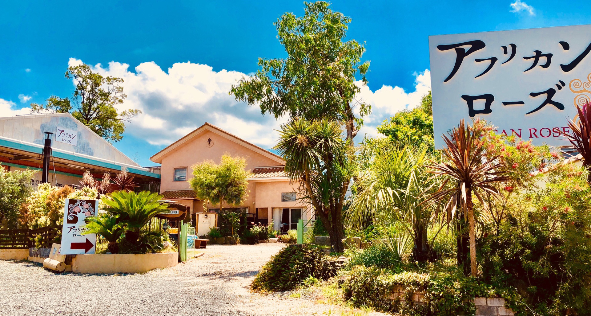 アフリカンローズ外観