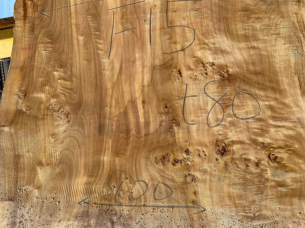 ポプラ瘤-Po00012