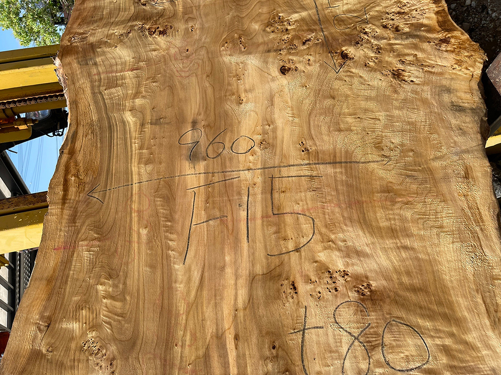 ポプラ瘤-Po00012