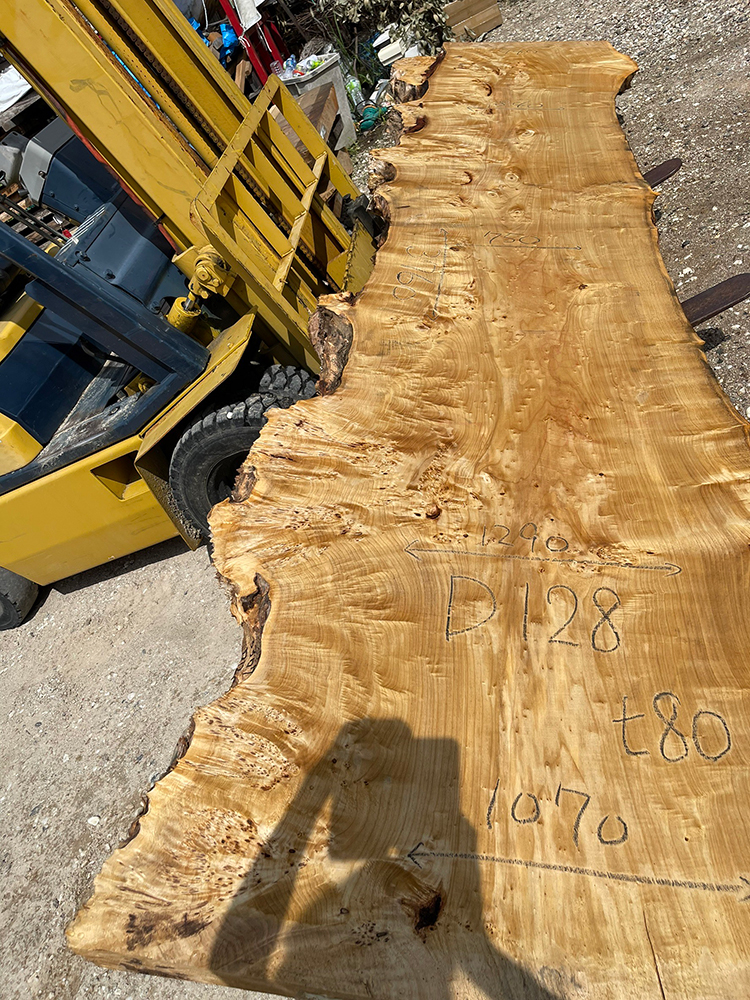 ポプラ瘤-Po00014