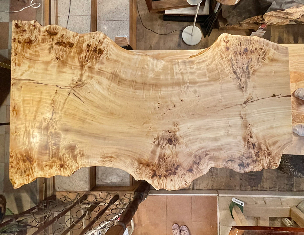 ポプラ瘤-Po00021