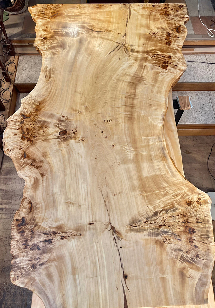 ポプラ瘤-Po00021