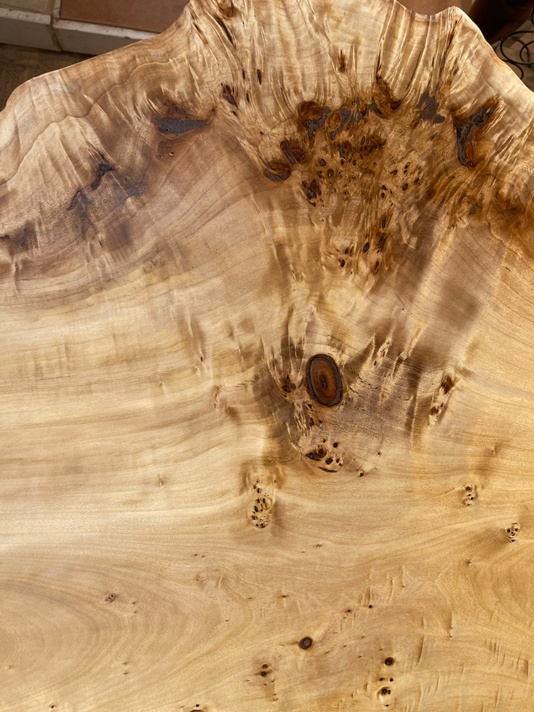 ポプラ瘤-Po00021