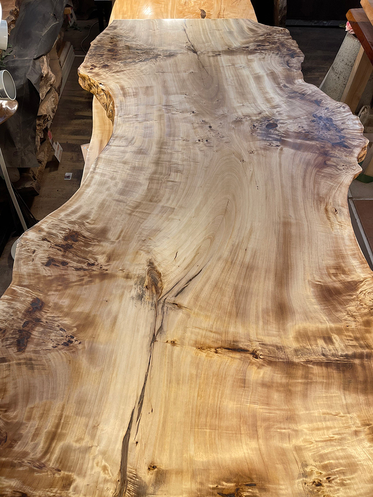 ポプラ瘤-Po00021