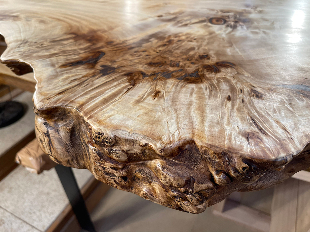 ポプラ瘤-Po00021