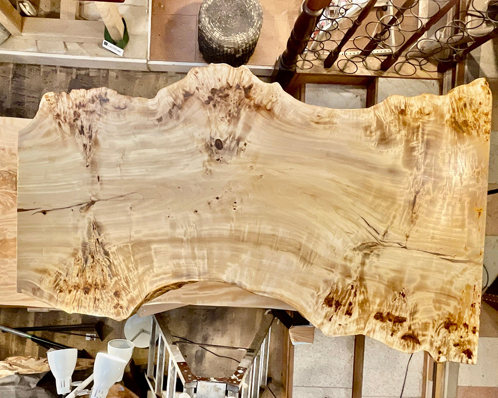 ポプラ瘤-Po00021