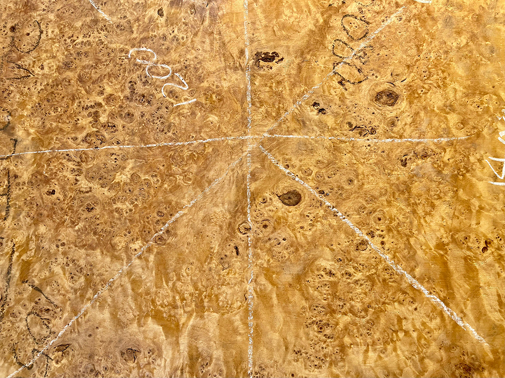 ポプラ瘤　輪切-Po00023