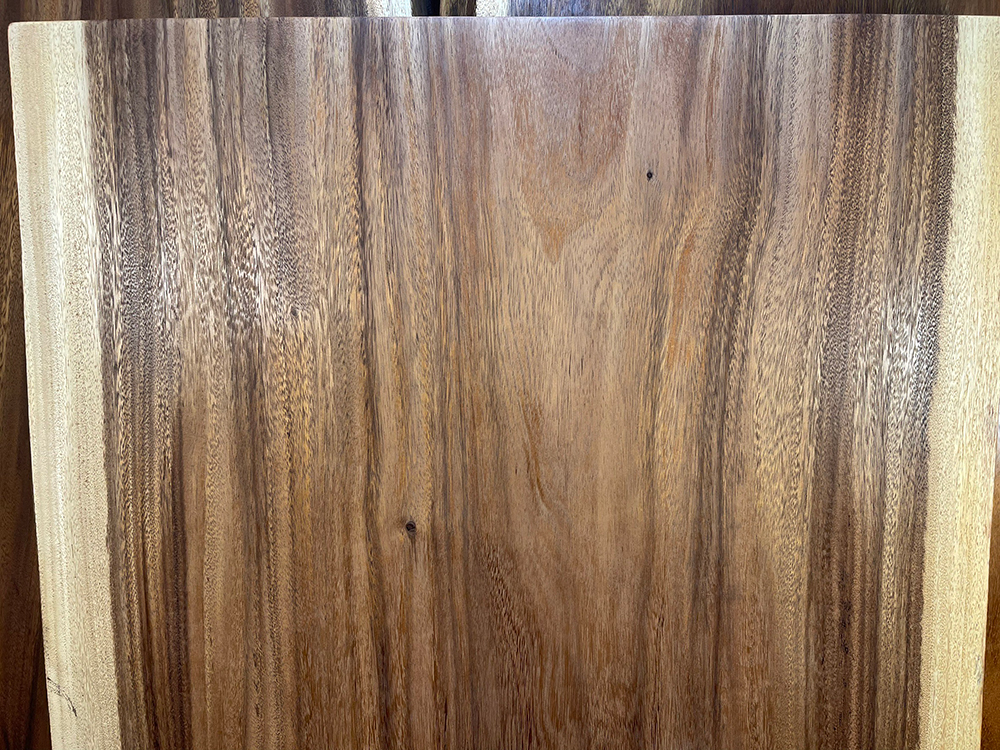 モンキーポッド Mo00057