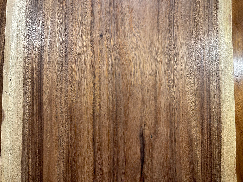 モンキーポッド Mo00057