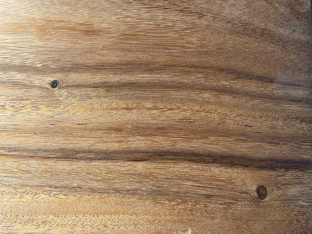 モンキーポッド Mo00057