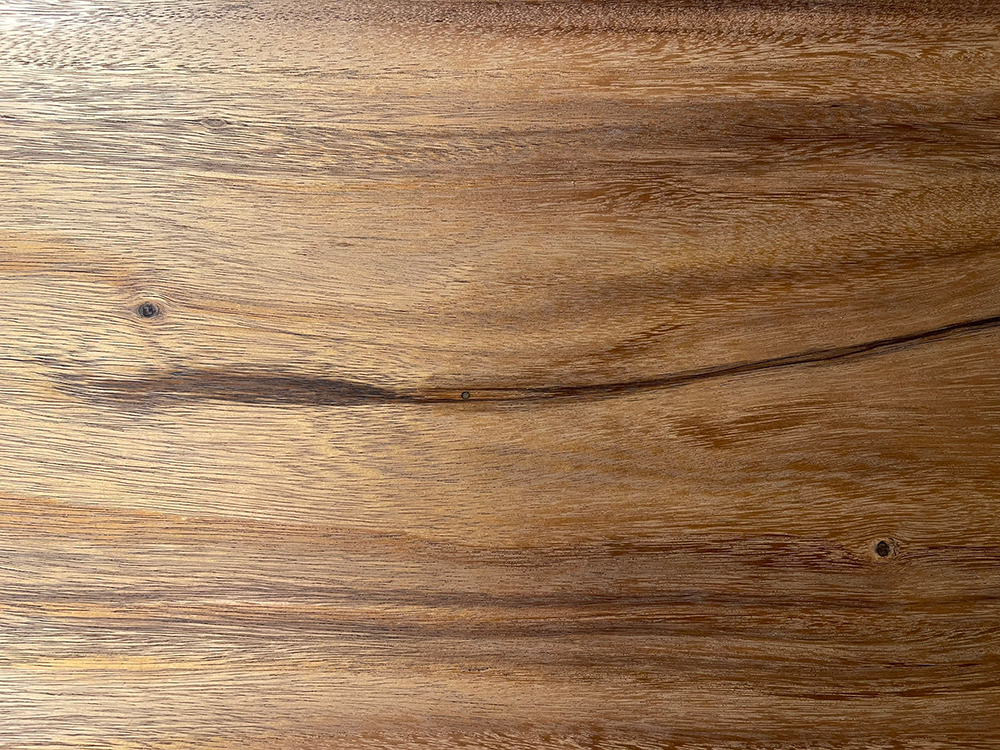 モンキーポッド Mo00057