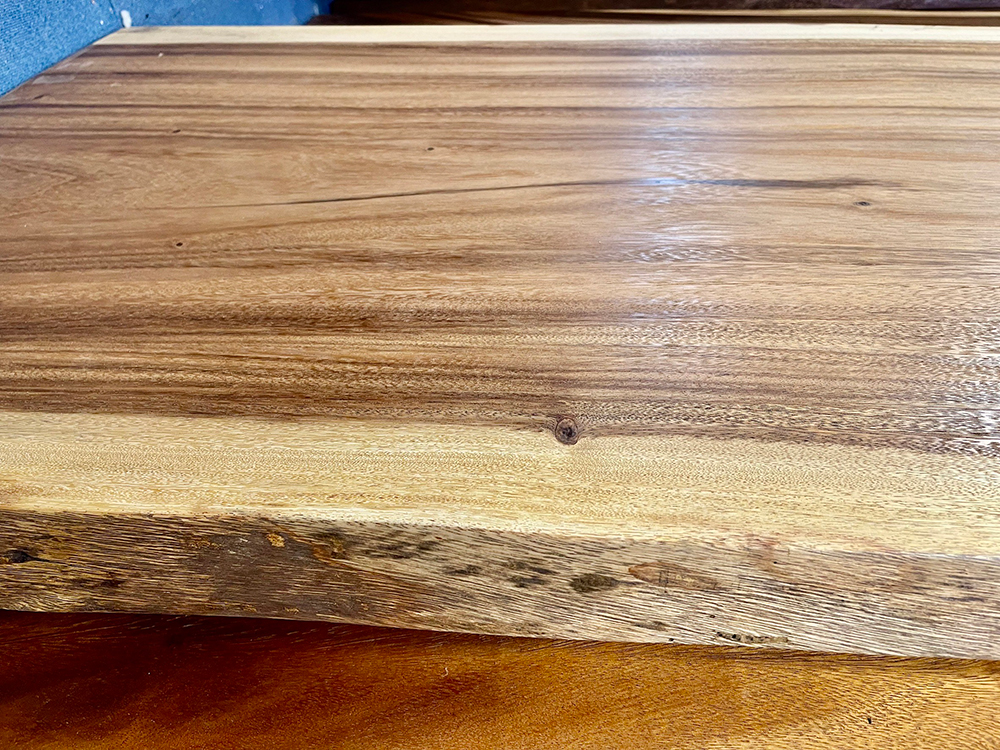 モンキーポッド Mo00057