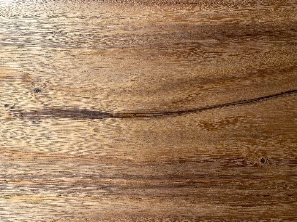 モンキーポッド Mo00057