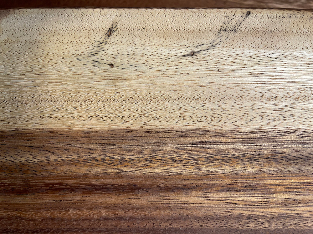 モンキーポッド Mo00057