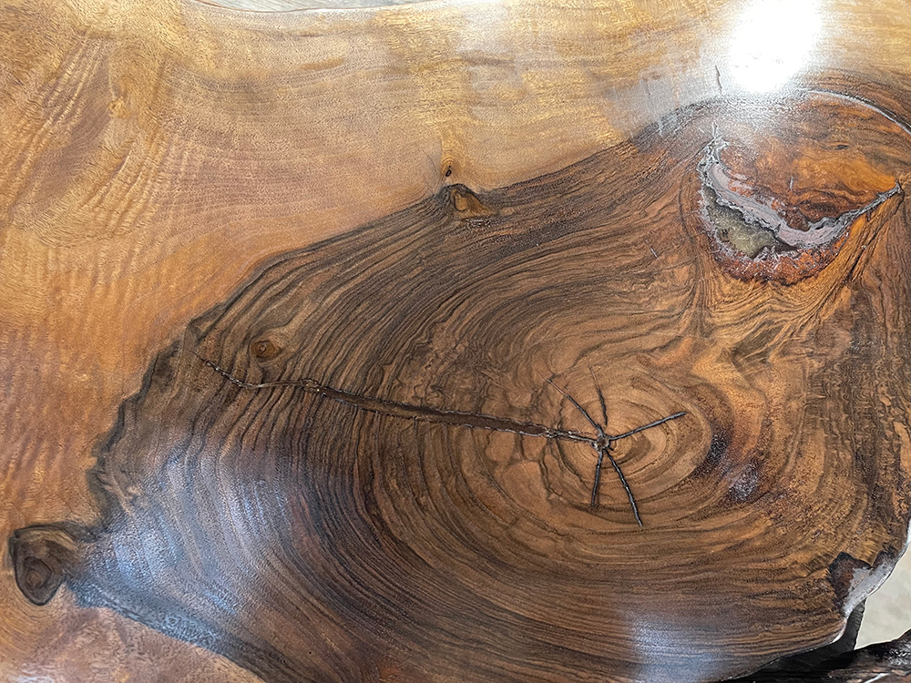 バストゥーンウォールナット Ba00071