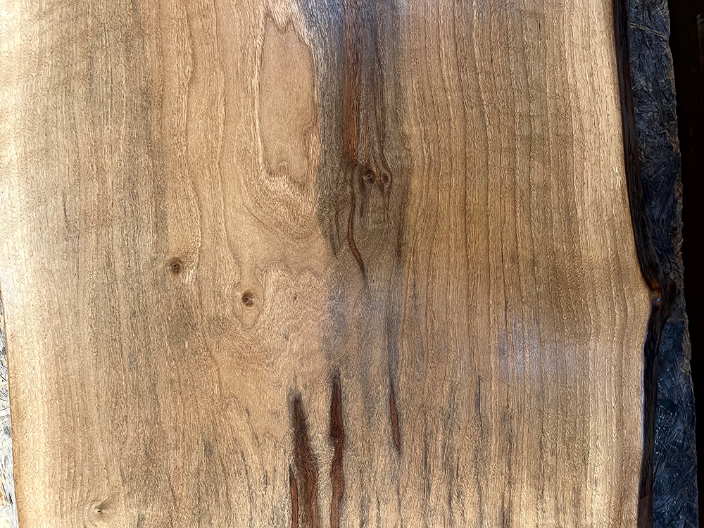 バストゥーンウォールナット Ba00073