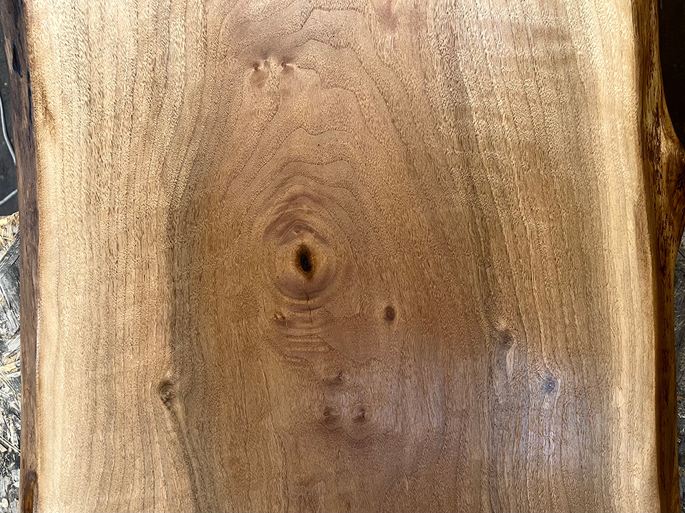 バストゥーンウォールナット Ba00073