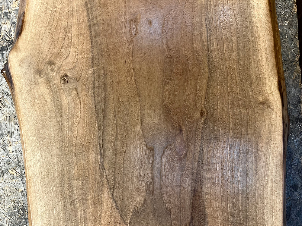 バストゥーンウォールナット Ba00073