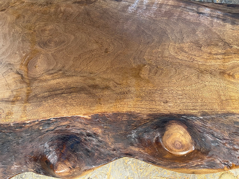 バストゥーンウォールナット Ba00070