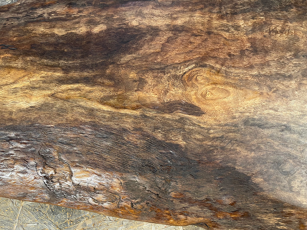 バストゥーンウォールナット Ba00070