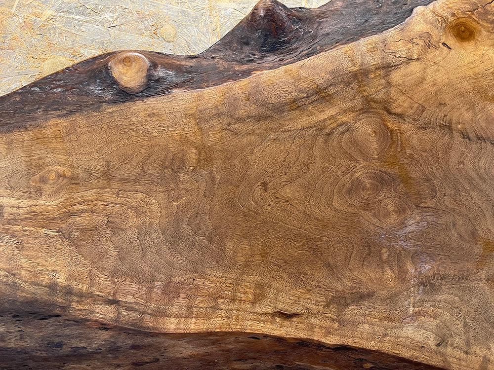 バストゥーンウォールナット Ba00070