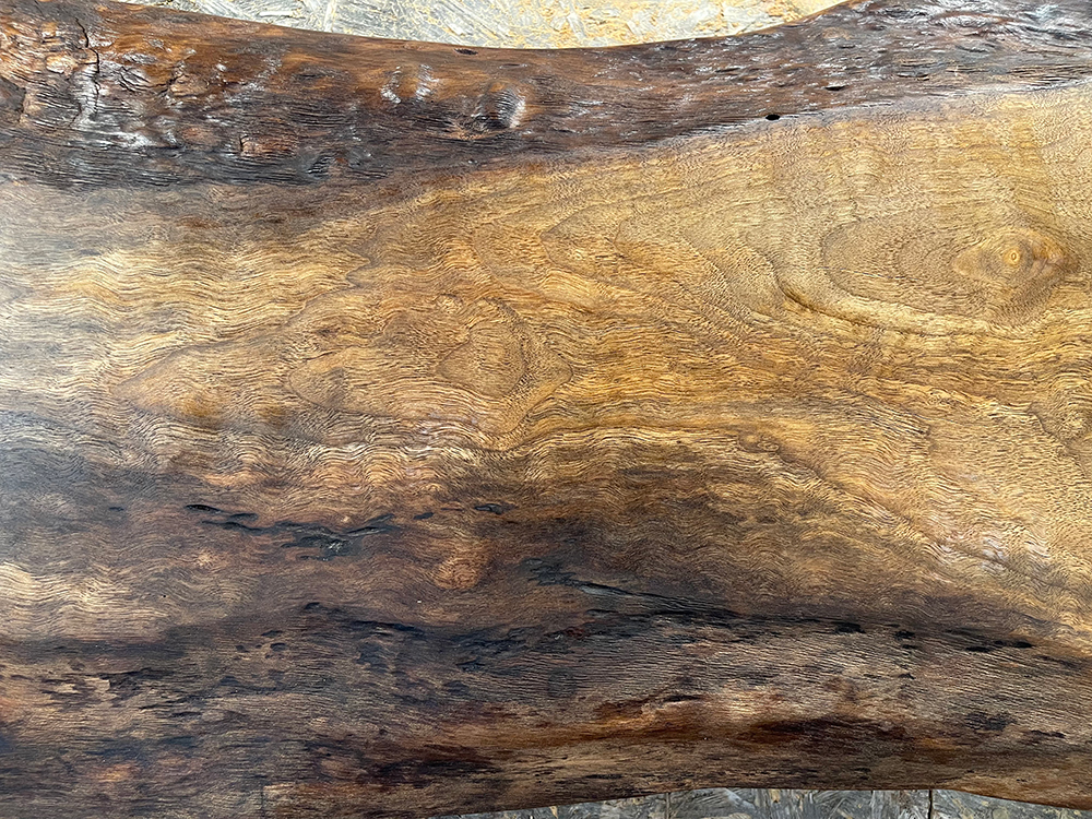 バストゥーンウォールナット Ba00070