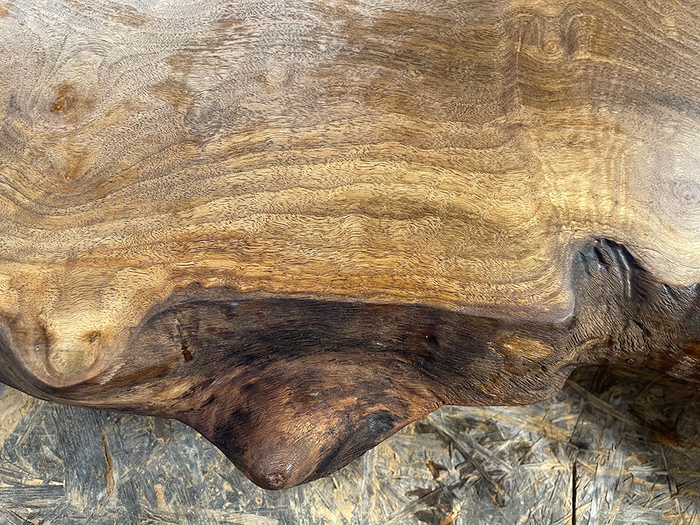 バストゥーンウォールナット Ba00070