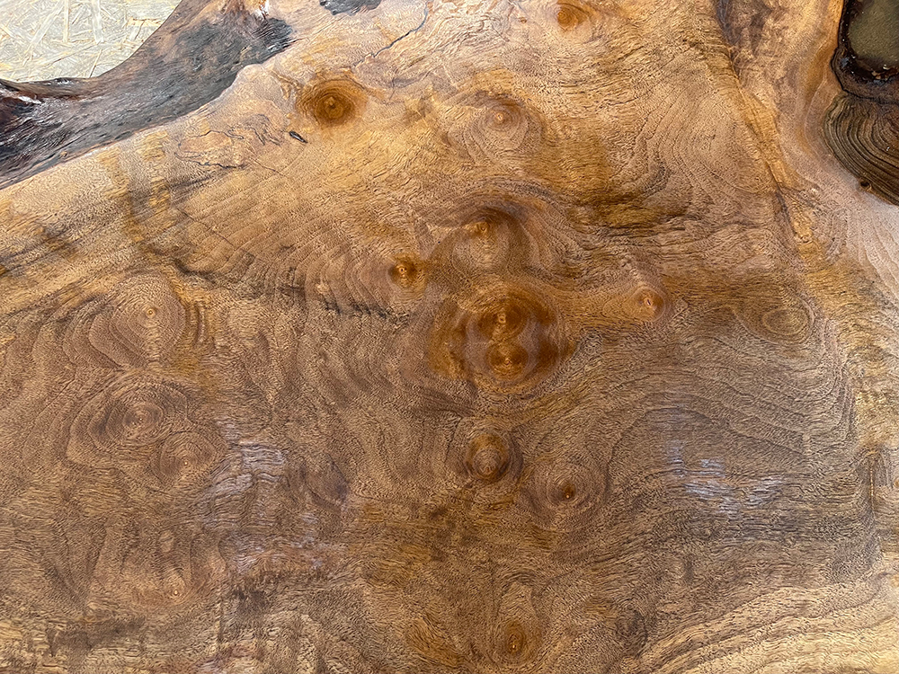 バストゥーンウォールナット Ba00070