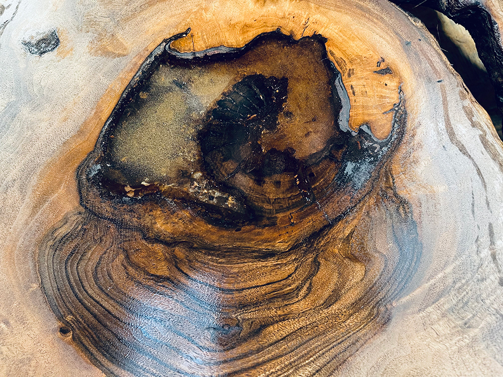 バストゥーンウォールナット Ba00070