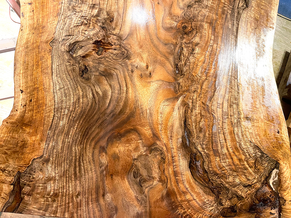 バストゥーンウォールナット Ba00074