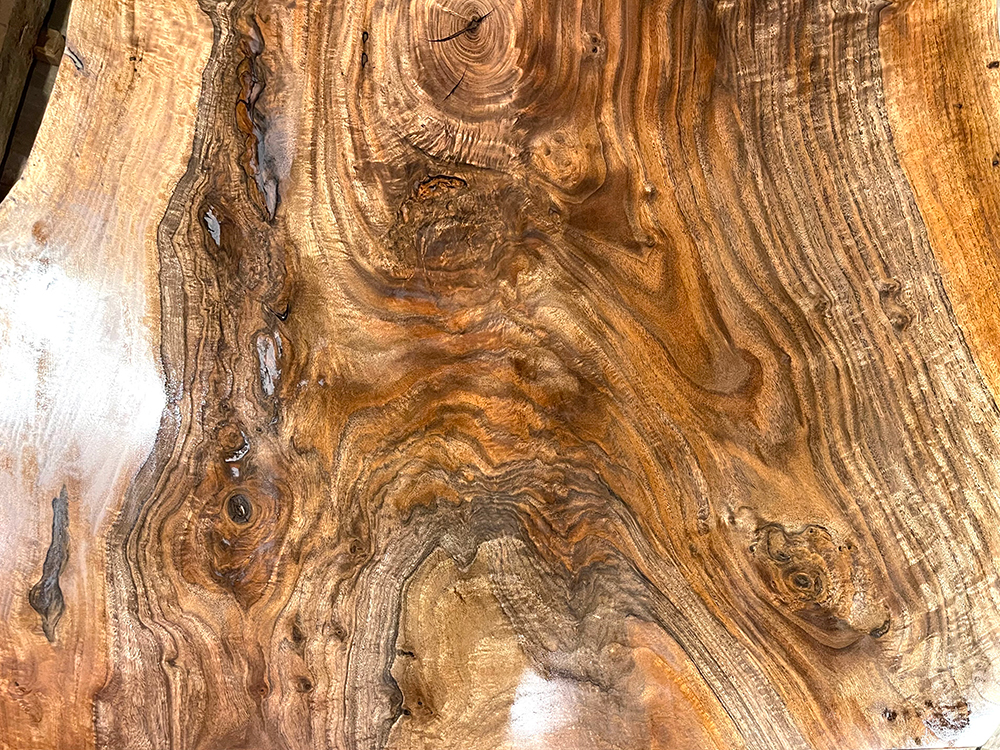 バストゥーンウォールナット Ba00074