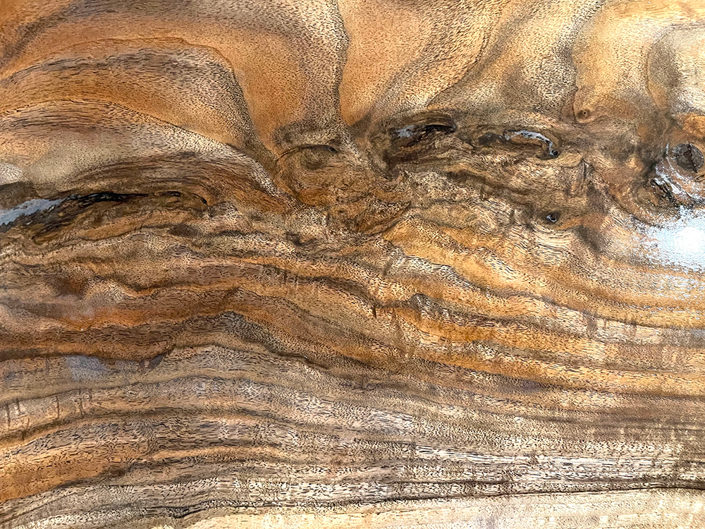 バストゥーンウォールナット Ba00074