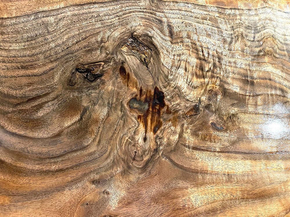 バストゥーンウォールナット Ba00074