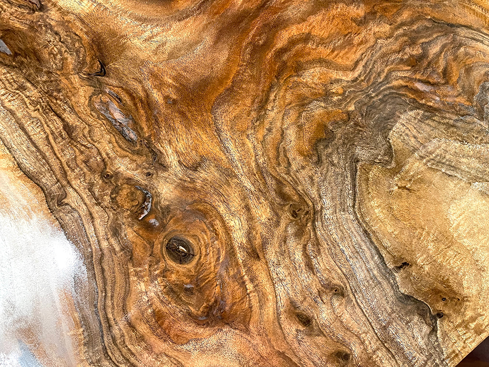 バストゥーンウォールナット Ba00074