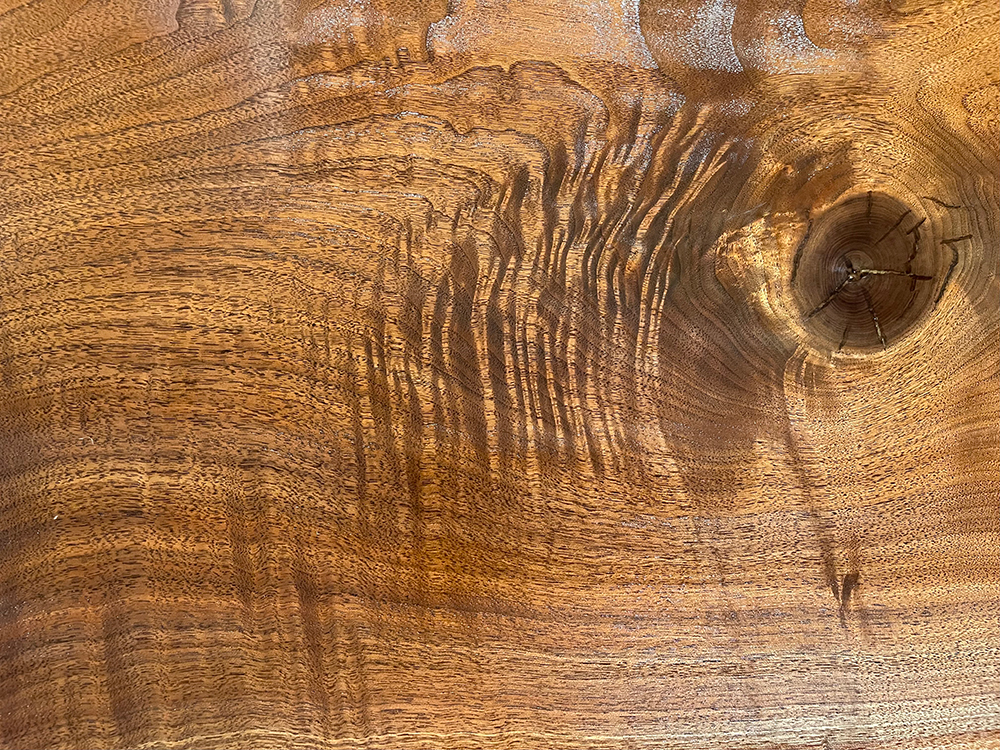 ブラックウォールナット Bl00213