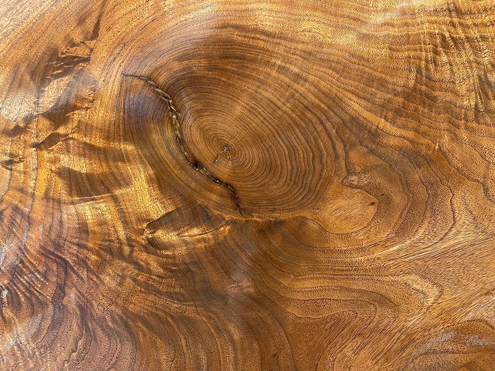 ブラックウォールナット Bl00213