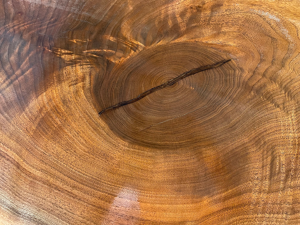 ブラックウォールナット Bl00213