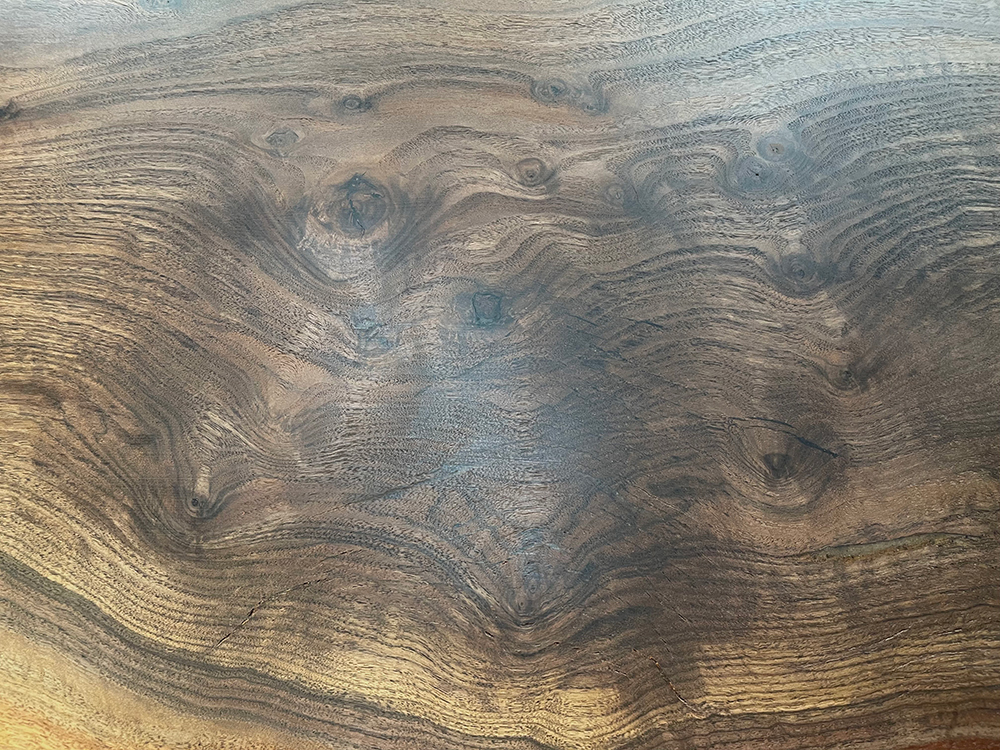 クラロウォールナット C00134