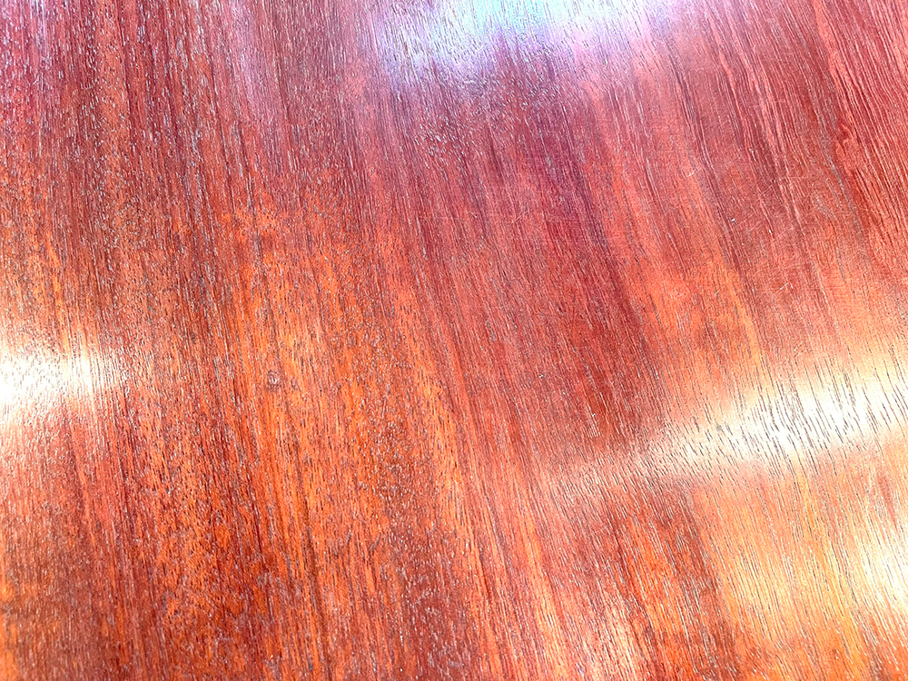 パープルハートPu00008
