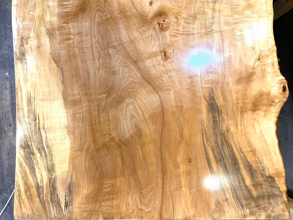 栃 To00342