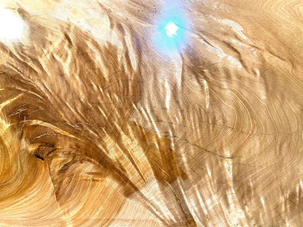栃 To00346