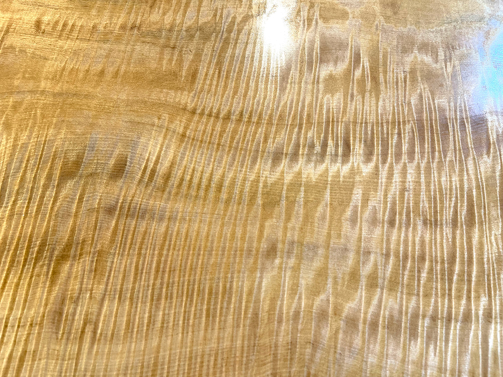 栃 To00353