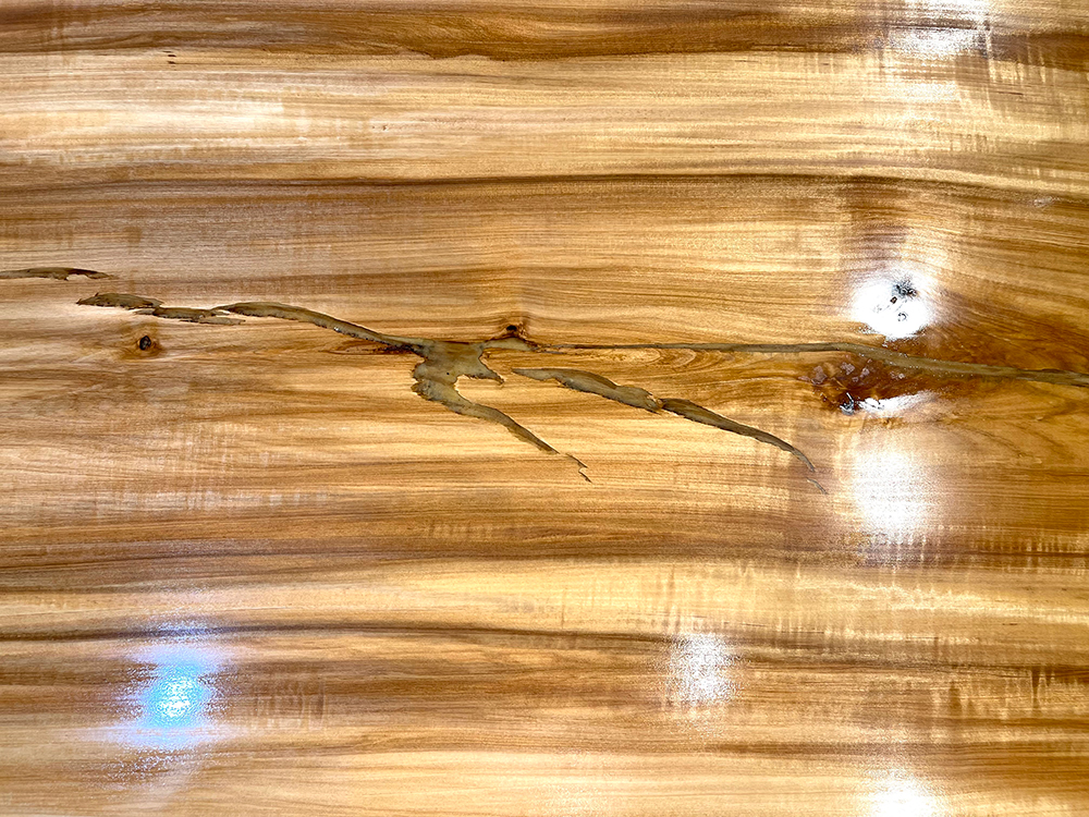 栃 To00358